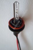 H8 BlueLight (DC) 35W (Econom)