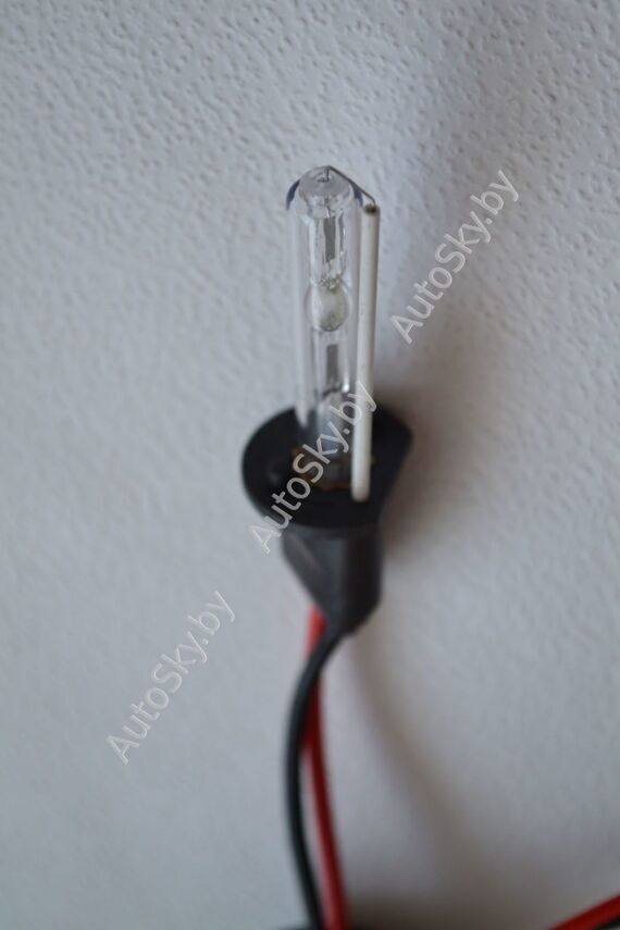 H1 BlueLight (DC) 35W (Econom) H1 BlueLight (DC) 35W (Econom)
